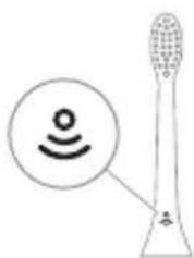PHILIPS Sonicare ProtectiveClean 4500 - בְרָה - 6