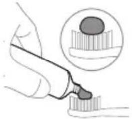 PHILIPS Sonicare ProtectiveClean 4500 - Instructions de brossage - 1
