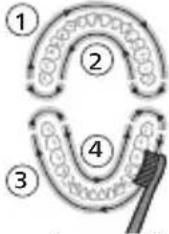 PHILIPS Sonicare ProtectiveClean 4500 - Modos - 3