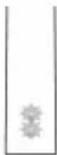 PHILIPS Sonicare ProtectiveClean 4300 - ЖЕ - 2