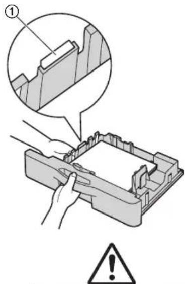 PANASONIC DPMB300EU - Important : - 2