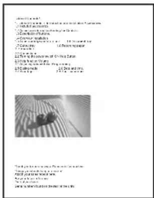 PANASONIC DPMB300EU - Example 2 - 1