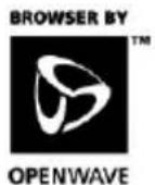 PANASONIC EBX500 - OpenWave™ - 2