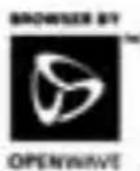 PANASONIC EBX300 - OpenWave - 2