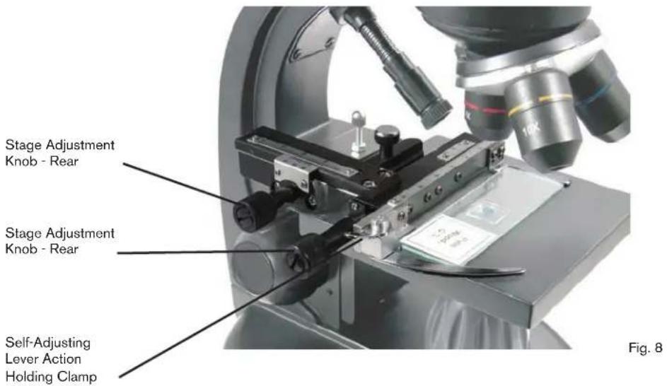 CELESTRON 44320 - Viewing a Specimen - 1
