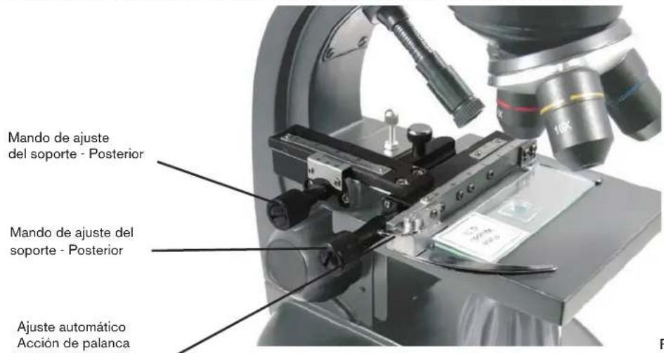 CELESTRON 44320 - Ajuste digital de luz - 2