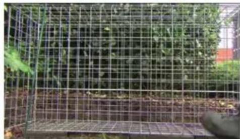 Giardino 5150338 - PIQUET EN T - 13