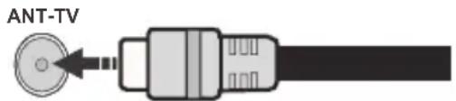 Finlux FL4330CBU - Parte trasera inferior del televisor - 1