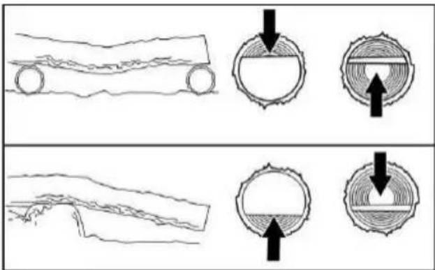 MCCULLOCH CS 42STE - TYPES OF BUCKING CUTS - 3