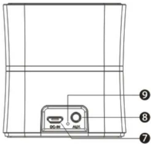 Bolse C5 - Structure Introduction - 4