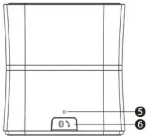 Bolse C5 - Structure Introduction - 3