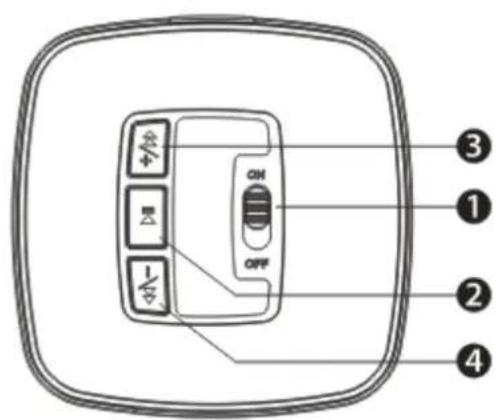 Bolse C5 - Structure Introduction - 2