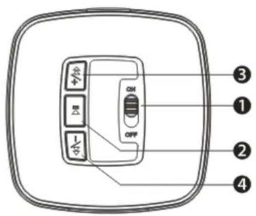 Bolse C5 - Introduzione alla struttura - 2