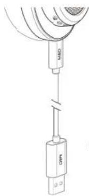 MASTER DYNAMIC MW50 Wireless - Caricamento in corso - 1