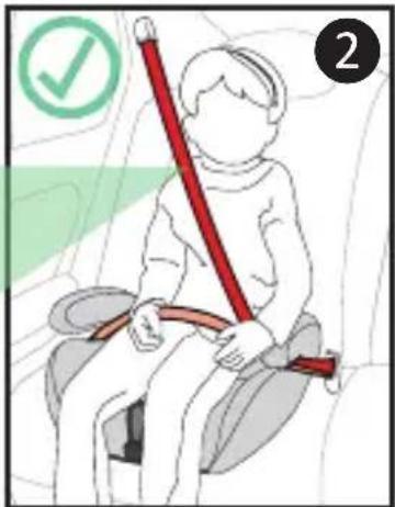 Harmony Defender 360 3in1 Deluxe - WITHOUT BUILT-IN HARNESS - 4