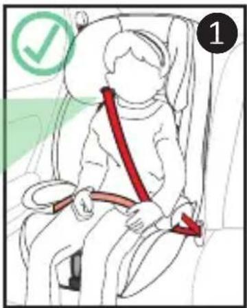 Harmony Defender 360 3in1 Deluxe - WITHOUT BUILT-IN HARNESS - 3