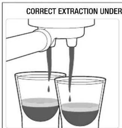 SAGE the Bambino Plus BES500 - EXTRACTION TIPS - 1