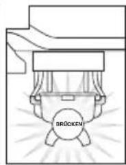 SAGE the Barista Touch SES880 - REINIGUNG DES KEGELMAHLWERKS - 5