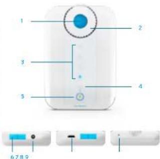 BLUETENS Collection Master Pack - Bluetens - 2