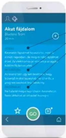 BLUETENS Collection Master Pack - PROGRAM VALASZTAS - 5