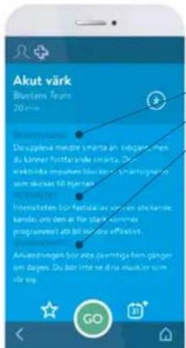 BLUETENS Collection Master Pack - VISA LISTAN MED PROGRAM - 1