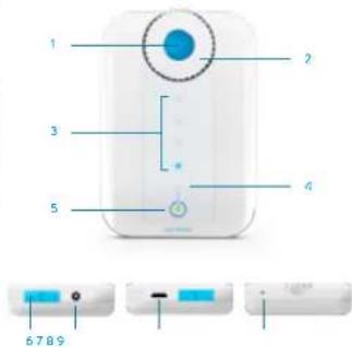 BLUETENS Collection Master Pack - O Bluetens - 1