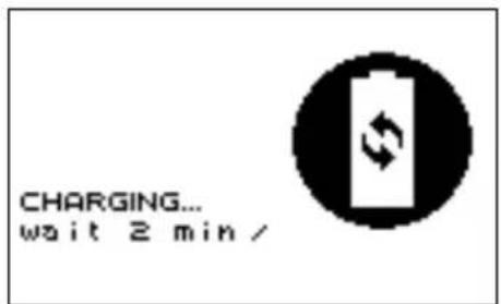 COMPEX SP 4.0 - THE BATTERY IS VERY FLAT - 2