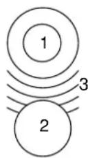 NEFF VSPYR611MC - Kombinations-Kochzone - 1
