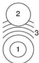NEFF SH811MC - Zone de cuisson combinée - 1