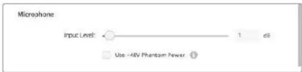 Blackmagic Design DeckLink 8K Pro - Entrada de audio - 1