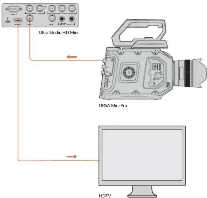Blackmagic Design DeckLink 8K Pro - Einrichtung - 1