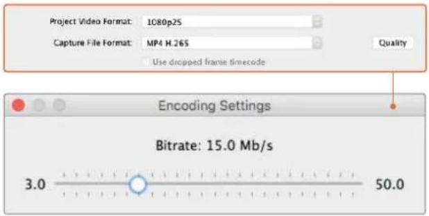 Blackmagic Design DeckLink 8K Pro - Bit Oraninin Ayarlanmasi - 1