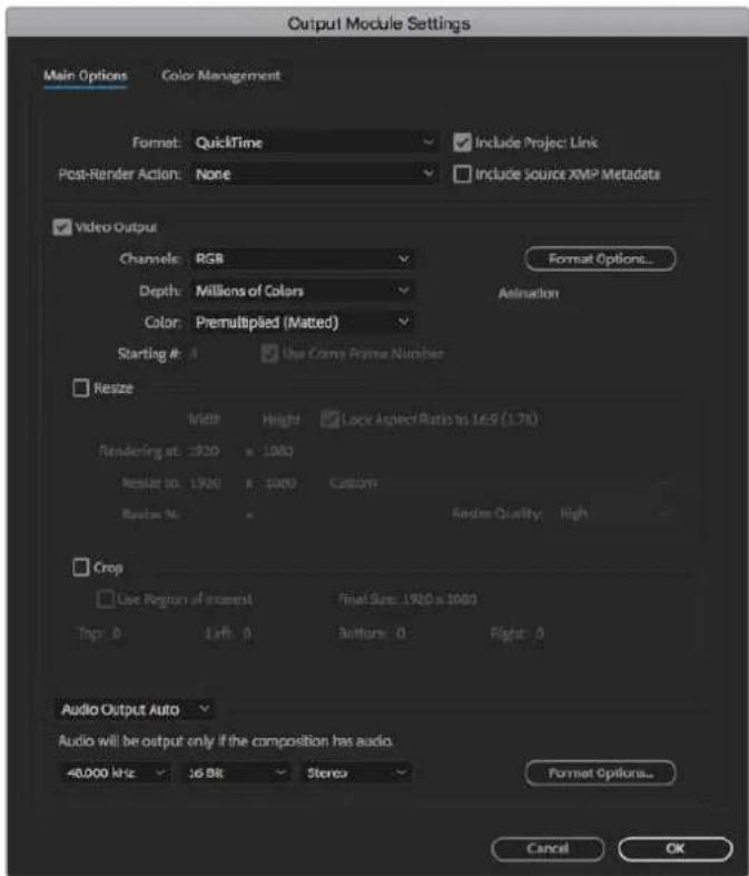 Blackmagic Design DeckLink 8K Pro - Rendu - 1
