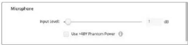 Blackmagic Design DeckLink 8K Pro - - Microphone - 2