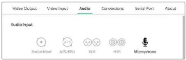 Blackmagic Design DeckLink 8K Pro - -Microphone - 1