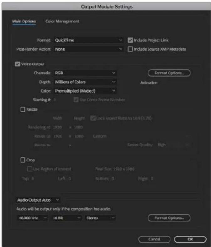 Blackmagic Design DeckLink 8K Pro - Rendering - 1