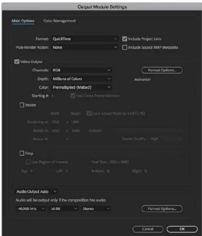 Blackmagic Design DeckLink 8K Pro - Rendering - 1