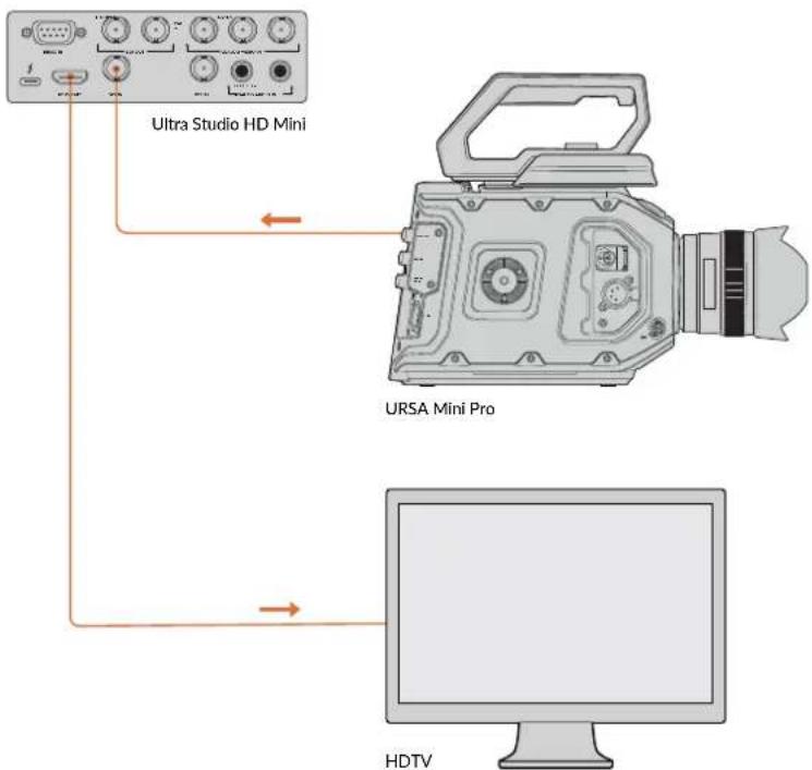 Blackmagic Design DeckLink 8K Pro - Setting Up - 1