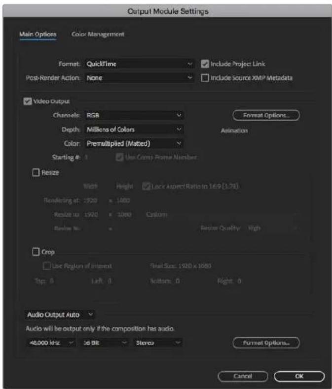 Blackmagic Design DeckLink 8K Pro - ViDIOO MIRIBOG - 1