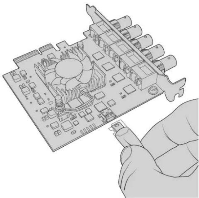 Blackmagic Design DeckLink 8K Pro - Récapérer une mise à jour interrompue sur une carte DeckLink : - 1