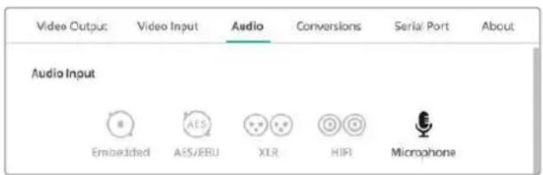 Blackmagic Design DeckLink 8K Pro - - Microphone - 1
