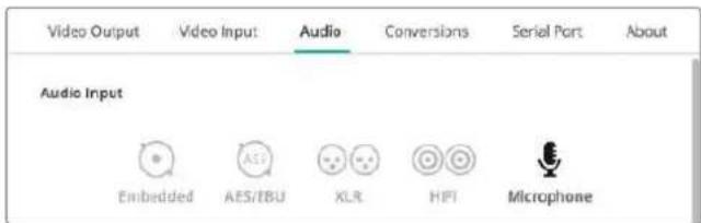 Blackmagic Design DeckLink 8K Pro - - Microphone - 1