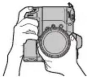 PANASONIC Lumix DMWBGS1 - Nota - 1