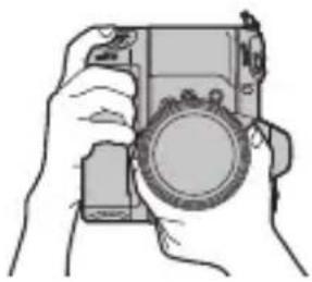 PANASONIC Lumix DMWBGS1 - A - 2