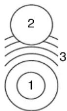 NEFF PYR81HMC - Zone de cuisson combinée - 1