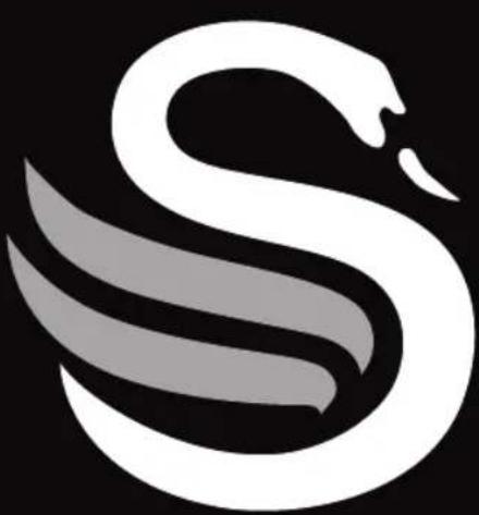 SWAN Nordic ST14620 - REMARQUES - 1
