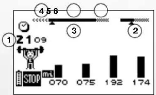 COMPEX SP 2.0 - PROGRAMME PROGRESSION - 1