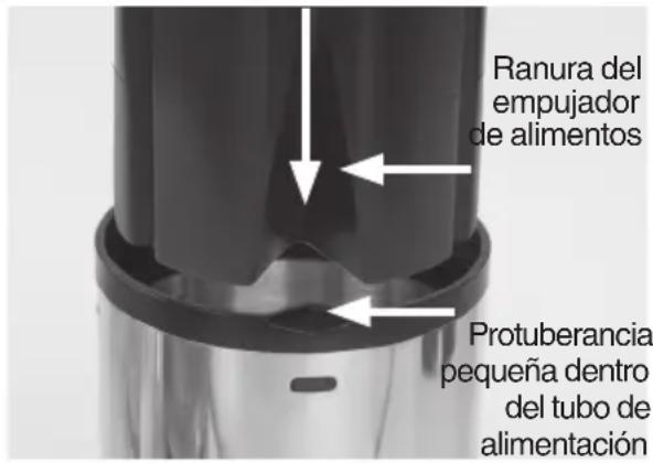 SAGE The Nutri Juicer Cold XL SJE830 - ANTES DEL PRIMER USO - 6