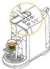 SAGE Nespresso Creatista Uno - Préparation d'un latte macchiatoPrepa - 6