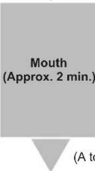 PANASONIC EHXR10 - RF/Ultrasonic mode - Approximately 10 minutes - 3